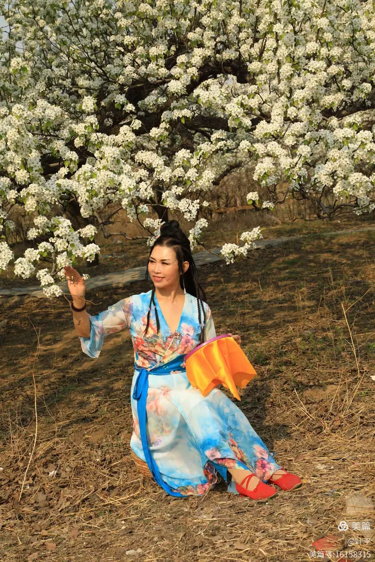 梨花颂